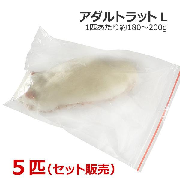 送料は冷凍商品の為、地域別で異なります。価格は注文承諾後メールにてご連絡いたします。※代引きは不可となります。それを過ぎますと翌営業日からの発送となります。土日祝日休みの為、お届けに3〜4日かかる場合がございます。余裕を持ってご注文下さい。...