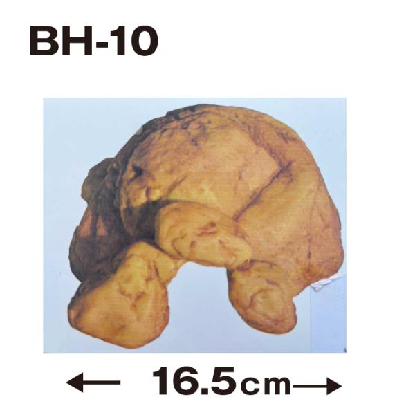 【送料・配送対応可能区分】　同梱可※発送する地域や数や大きさ・同梱する商品により送料が変わります。※送料は受注後別途連絡いたします※沖縄を含む離島にお住まいの方は別途料金が必要です。【商品詳細】フクロモモンガやハムスターなどの小動物用の小さ...