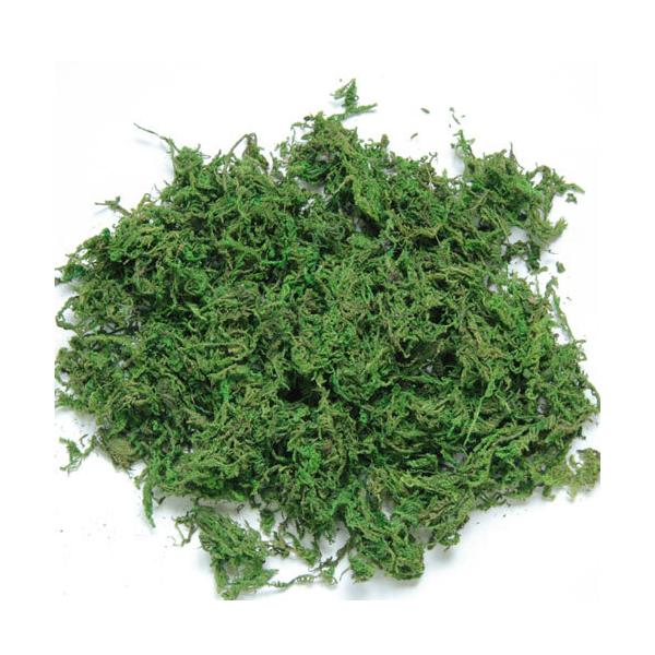 ■容量：約6g■メーカー：三晃商会(SANKO・サンコー)鈴虫飼育ケース内に緑の彩をプラスする天然の水コケ。鈴虫育成には適度な湿度が欠かせません。鈴虫の足場となり、マットの上に敷くことでマットの水分蒸発を緩和して乾燥防止になります。【注意】...