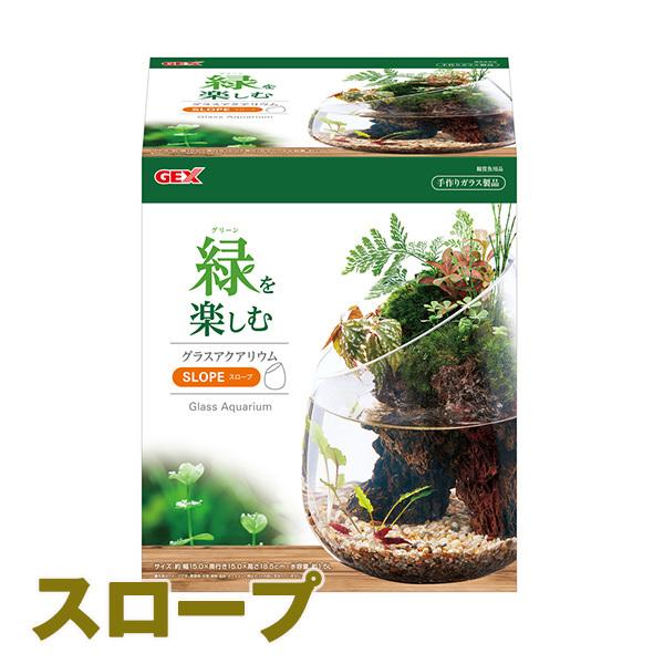 グラスアクアリウム スロープ Gex ジェックス アクアリウム ガラス 水槽 インテリア 手作り 小型観賞魚 グッピー ベタ 0024 餌ランド 通販 Yahoo ショッピング