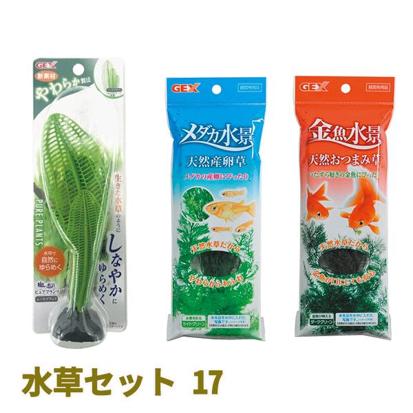 bestfactoryshopping2_0024-00553-17