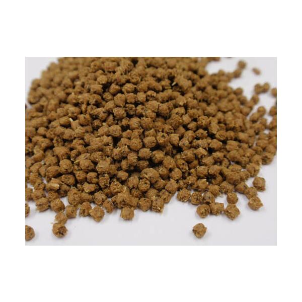 bestfactoryshopping2_0025-00021