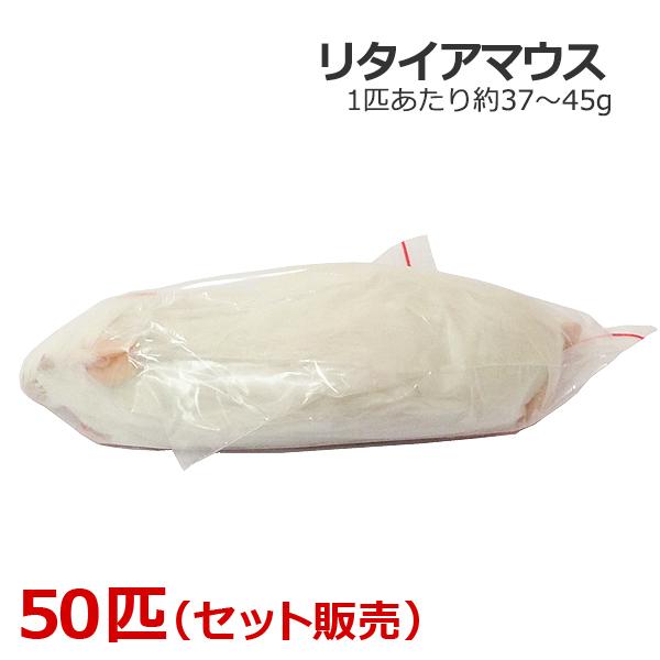 送料は冷凍商品の為、地域別で異なります。価格は注文承諾後メールにてご連絡いたします。※代引きは不可となります。■ご注意■午前中までにご入金が確認できれば当日発送が可能です。それを過ぎますと翌営業日からの発送となります。土日祝日休みの為、お届...