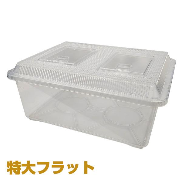 プラケース 特大フラット クリア 鈴木製作所 0081 餌ランド 通販 Yahoo ショッピング