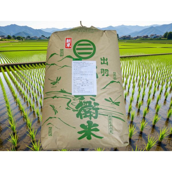 無施肥無農薬栽培山形県産 ササニシキ玄米30ｋｇ