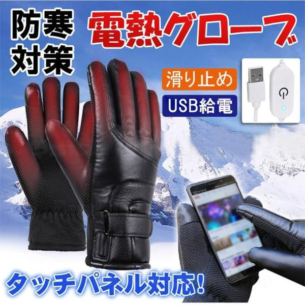 電熱グローブ 手袋 バイク アウトドア USB 給電式 タッチパネル対応 ヒートグローブ 屋外作業 自転車 旅行 インナーグローブ 滑り止め ギフト ポイント消化 Z