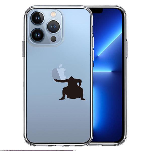 iphone13 Pro P[X NAP[X ʃ\tg wʃn[h nCubh ͎m  yU S ACtH13 Pro ϏՌ ACtH X}zP[X