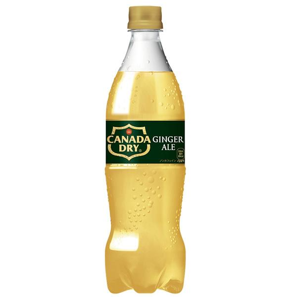 他サイト： コカ・コーラ社製品 カナダドライ ジンジャーエール PET 700ml 1ケース 20本の商品画像