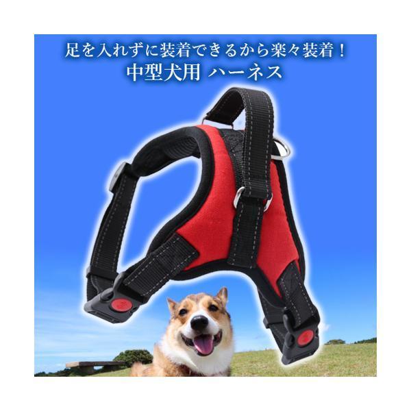 最大84 Offクーポン 犬 ハーネス 脱げない 中型犬 おしゃれ バックル メッシュ かわいい 光反射 丈夫 Columbiatools Com