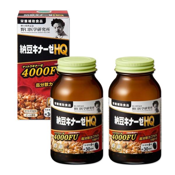 野口医学研究所 2個セット 納豆キナーゼHQ 120粒（約30日分） 納豆 