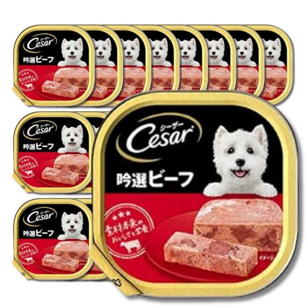シーザー トレイ 成犬用 100g 吟選ビーフ 水分補給 ふわふわローフタイプ 総合栄養食 ウェットフード ドッグフード ×24個