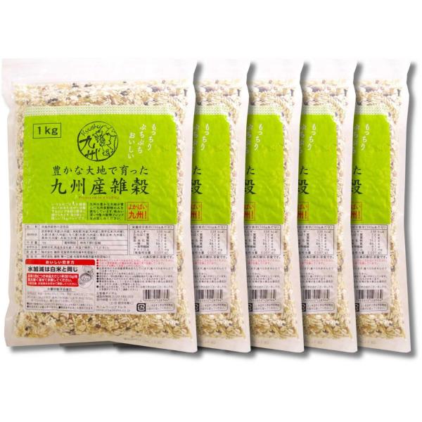 5個セット 種商 九州産雑穀 1000g