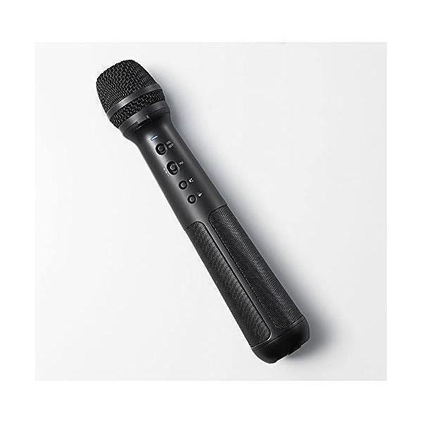 KING JIM キングジム SPMC10クロ スピーカー付き マイク : ベストワン 