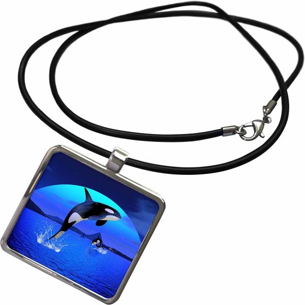 【並行輸入品】3dRose Simone Gatterwe Designs Animal - A orca whale enjoy the freed