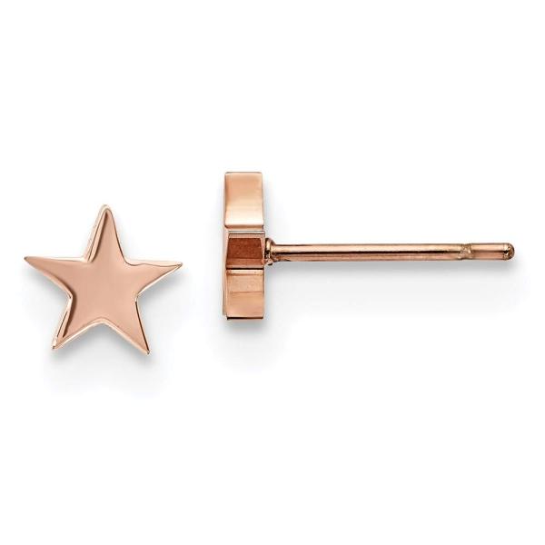【並行輸入品】Stainless Steel Rose Ion Plated Star Post Earrings
