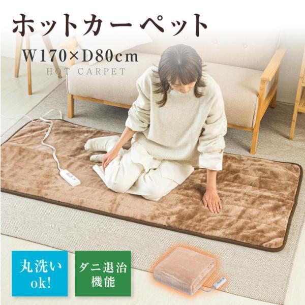 BESTSIGN ホットゴロ寝マット 1人用 電気毛布 無段階温度調節