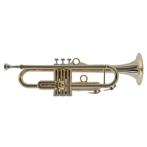 PTRUMPET1HTG / pTrumpet hyTech / �S�[���h / �v���X�`�b�N���Ǌy�� �g�����y�b�g/ pInstruments