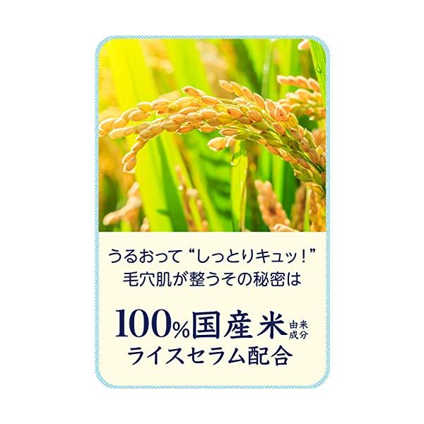 betaorido_3386-004349_3_d_20260312214017