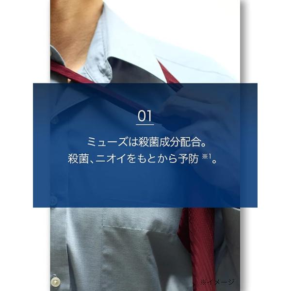 betaorido_3386-005060_2_d_20260312214019