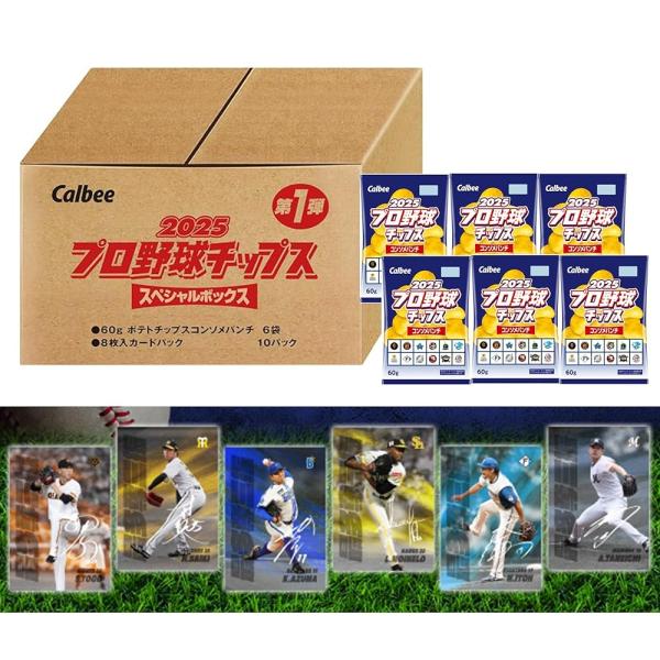 プロ野球チップス カード カルビー スペシャルカードセット 非売品 プロ野球チップス 2000 カード スペシャルカード セット 非売品