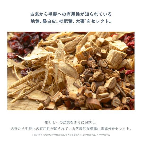 betaorido_3386-005935_3_d_20260104150908