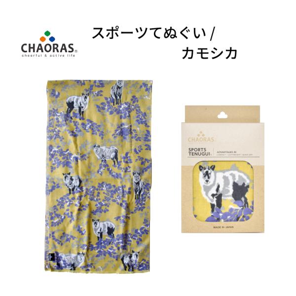 better-bicycles_bb0282