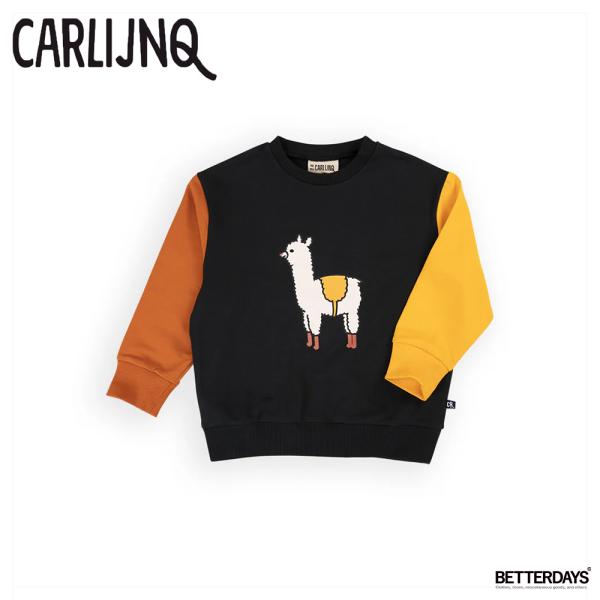 トレーナー ベビー キッズ CarlijnQ Basic sweater with print 総柄