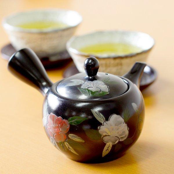 急須 おしゃれ 日本製 お茶が美味しくなる きゅうす 陶器 高級 プレゼント ギフト 茶器 急須 盛山窯 うまみを引き出す 黒泥赤白花 300ccc y 0161 ベターライフyahoo ショッピング店 通販 Yahoo ショッピング