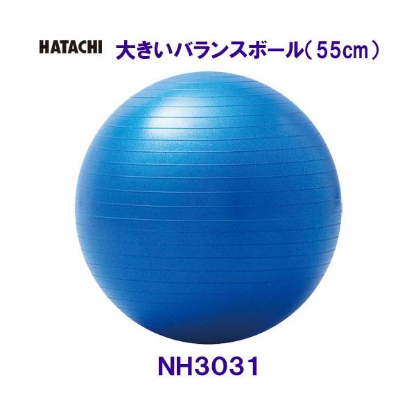 バランスボール 大きいの人気商品 通販 価格比較 価格 Com