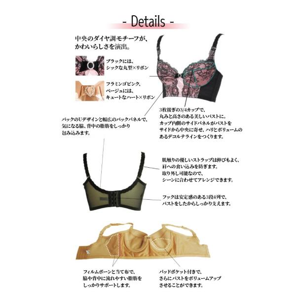 送料無料 限定色 お取り寄せ エルローズ 矯正下着 ブラジャー かわいい エクラン Ecrin 3 4カップ バストアップ リフトアップ レディース 補整ブラ 大きいサイズ Fleeters Io