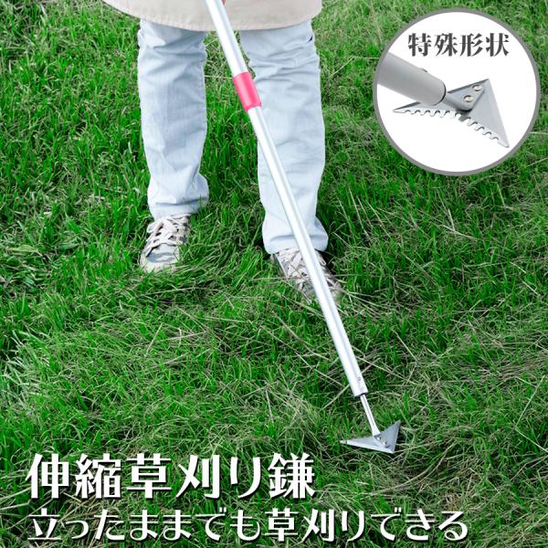   ܂܊yX  Lk ^Cv K[fjO   ނ  |   ƒ؉ _ 