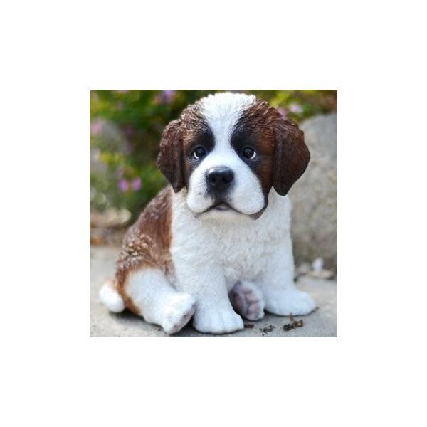 |W K[f   ĂZgo[i[h̎q̑ u K[fjO   Ck CeA 