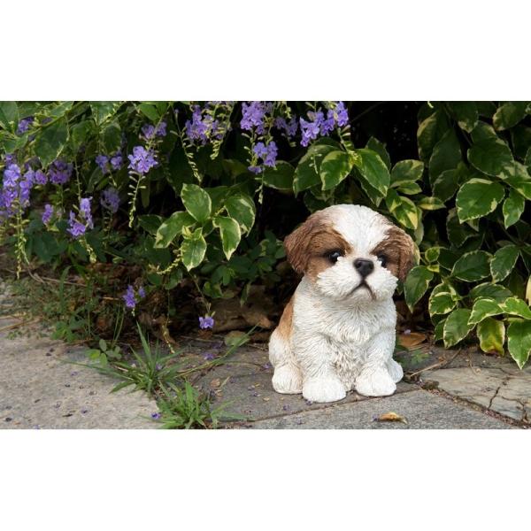 u  Ă V[Y[ q uE/zCg K[fjO  Dog Shih Tzu ornament statue GD66