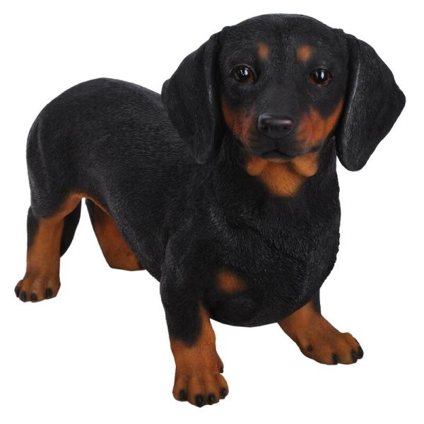 |W K[f  Ă鍕F̃_bNXtg ̑ u K[fjO 