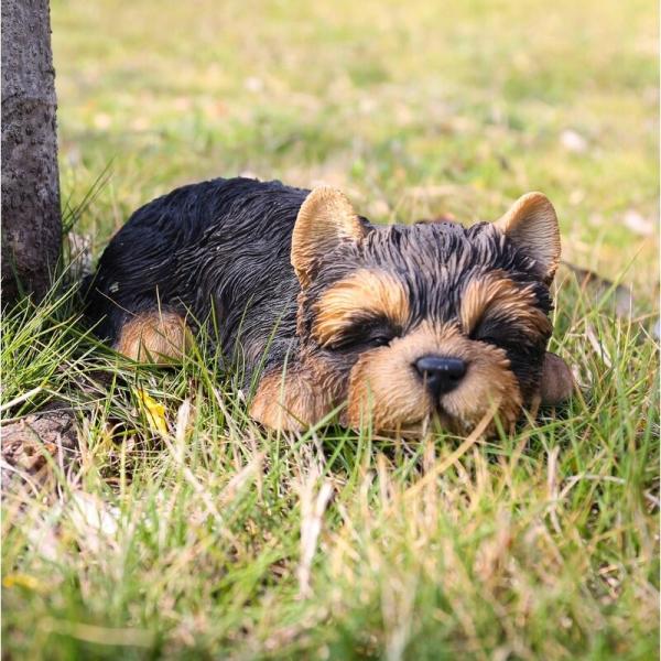 |W K[f   Ă郈[NV[eA̎q̑ u K[fjO   Ck   CeA