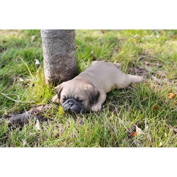 1/6 パグ Pug 犬 「おやすみモード」 うつ伏せ 仰向け 2種 ＆ ベッド bezipang_wf-w001699523