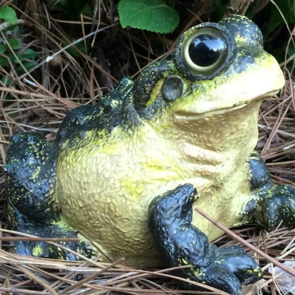 ポリレジン製 ガーデン彫像 動物 カエル 野生の大きなウシガエルの像