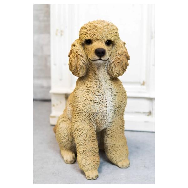 置物 彫像 お座りしているプードル 犬 子犬 いぬ イヌ ガーデン 庭