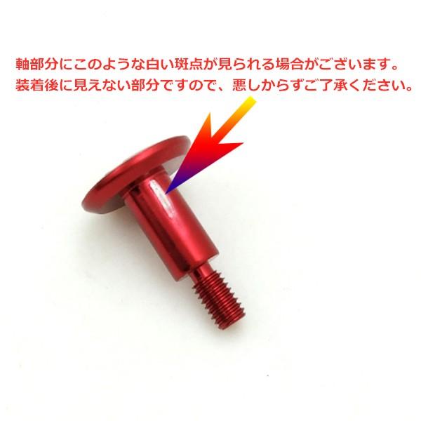 ブレーキダイヤルスクリュー Type-B For DAIWA スティーズ アルファス