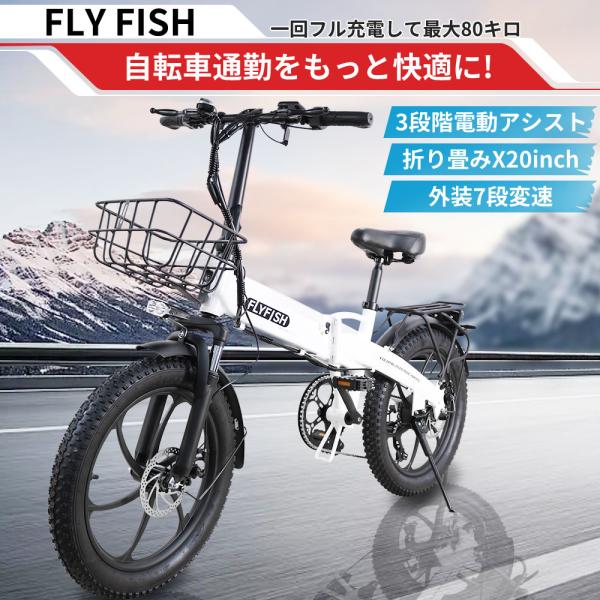 電動アシスト折りたたみ自転車 GRAPHIQ 20インチ bgshopstore_350w-20inch-bg