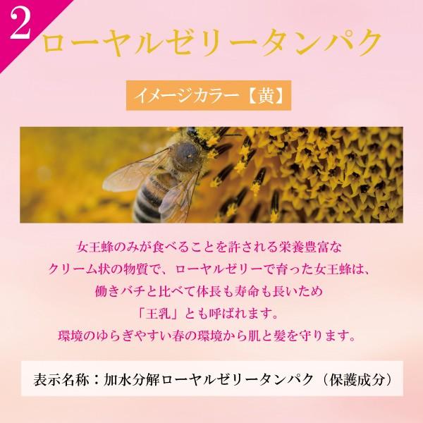 Taya 年春季限定そめいよしの シャンプー トリートメント ボディソープセット0ml 150g 400ml サロン専売 Buyee Buyee Japanese Proxy Service Buy From Japan Bot Online