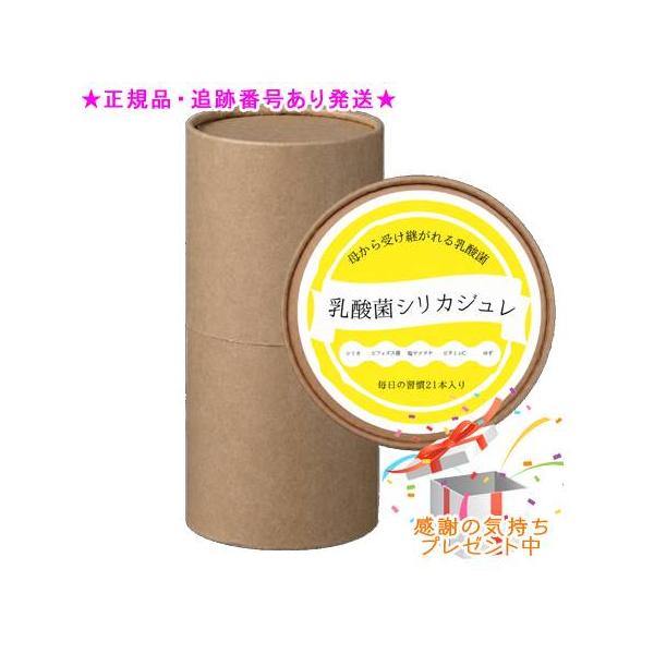 シリカクリエーション 乳酸菌シリカジュレ　10g×21包 プレゼント付