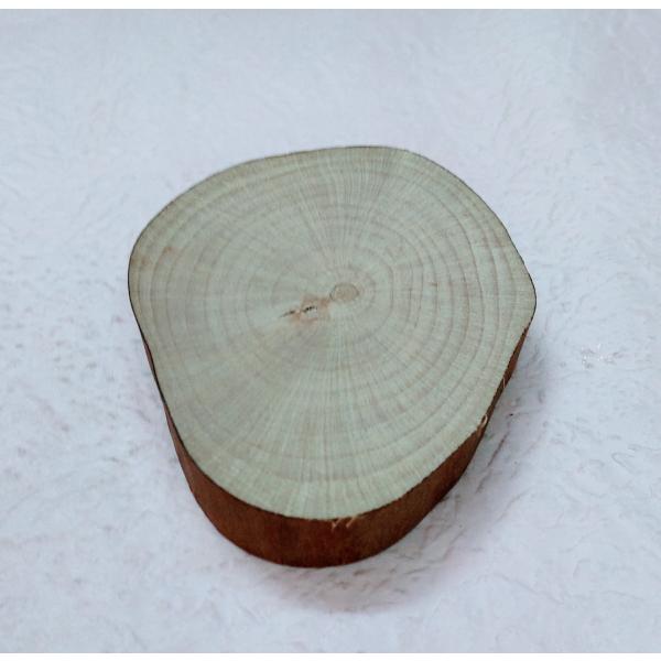 木台、大きさ約４０〜５０ミリ位です。本物の木を切断しているため形や大きさはバラバラです。
