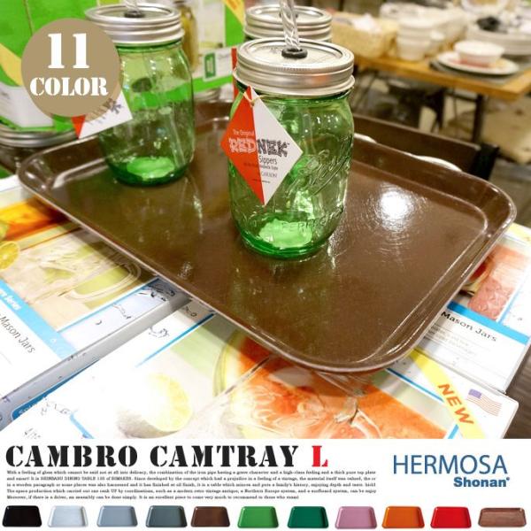 CAMBRO CAMTRAY SQUARE L�i�L�����u�� �J���g���[ L) CAM-1014