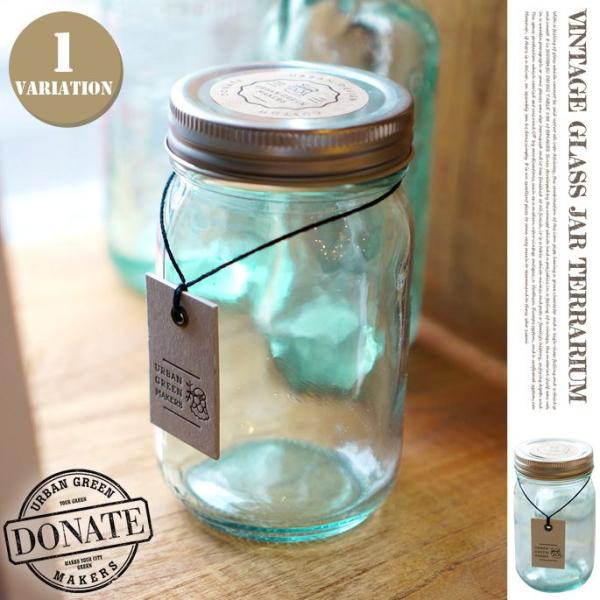 VINTAGE GLASS JAR TERRARIUM