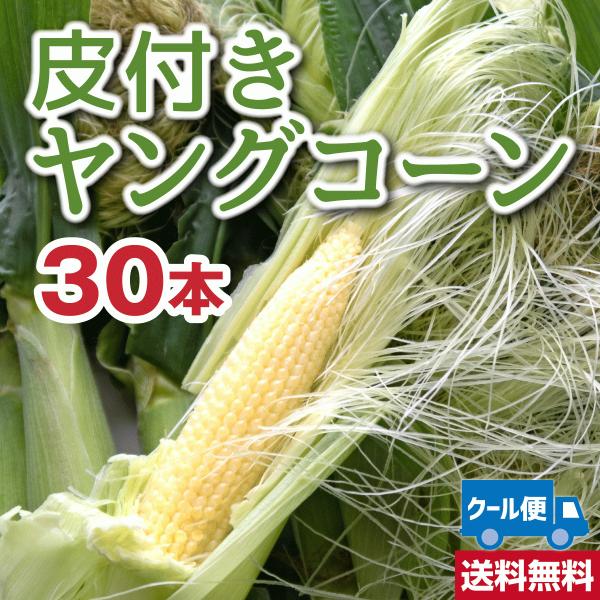 皮付きヤングコーン30本 クール便送料込 備中農園のこだわり野菜 : 直