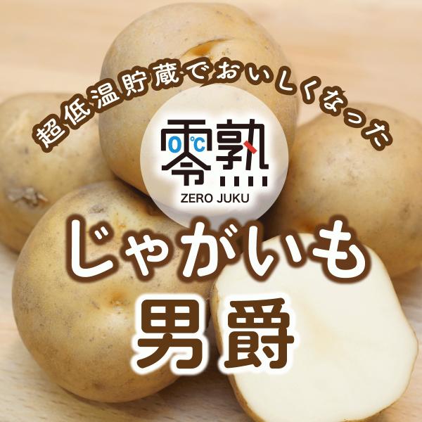 お試し 零熟じゃがいも男爵600g(300g×2袋) M〜Lサイズ 送料込