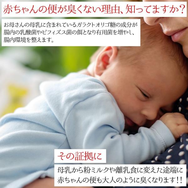 訳あり 送料無料 オリゴ糖 菌活 腸内細菌改善 乳酸菌 腸内環境 母乳 乳糖 腸内フローラ シンバイオティクス ビフィズス菌 乳酸菌 ガラクトオリゴ糖 500g Buyee Buyee Japanese Proxy Service Buy From Japan Bot Online