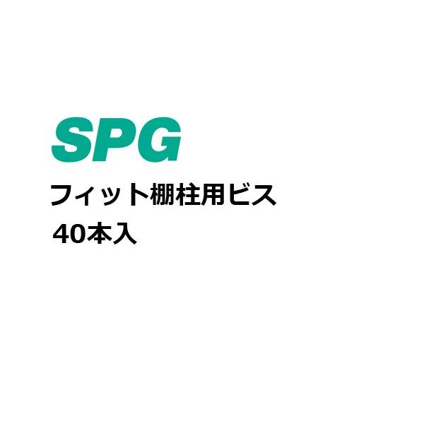 2ܓ SPG  tBbgIprX SUS h M3.1x32 40{