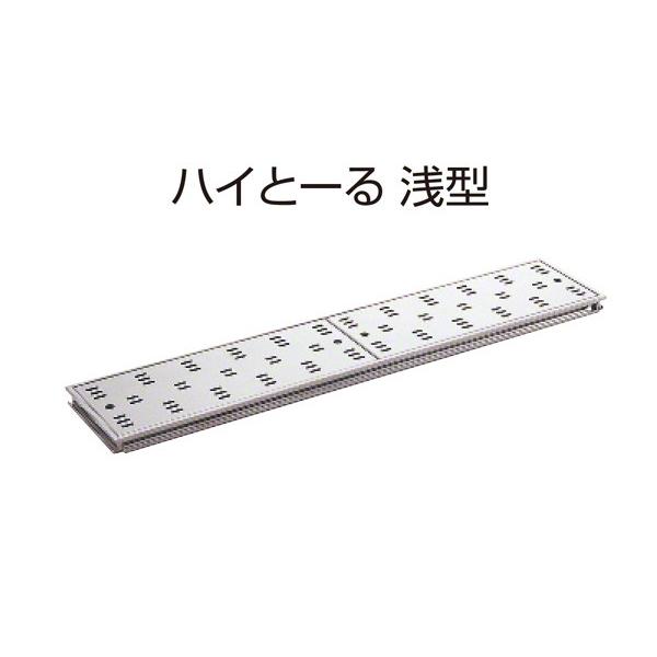 SPG  nCƁ[ ^(200mm^Cv) FM20-100 ]